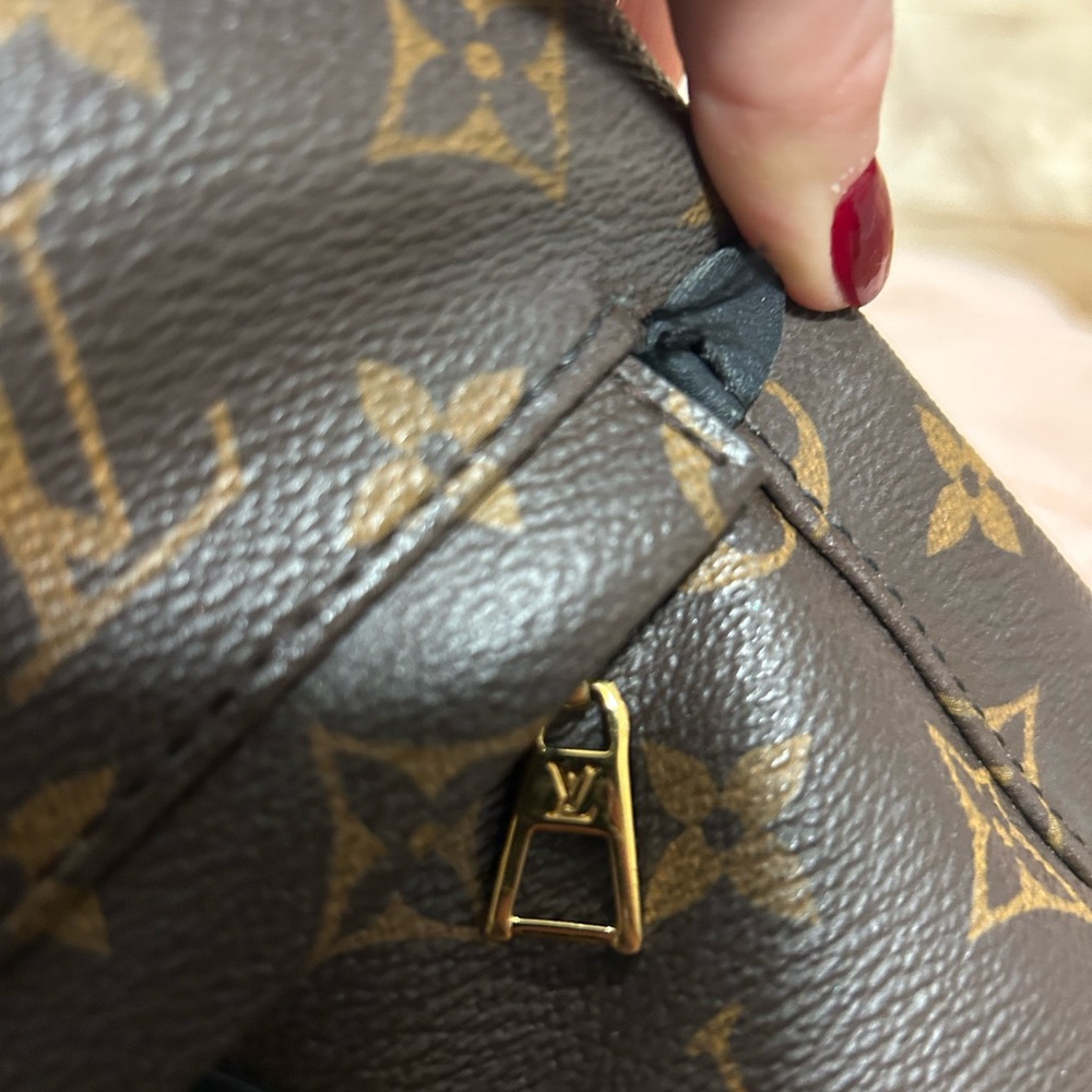 SOLD Louis Vuitton Palm Springs PM - Picture 14 of 15